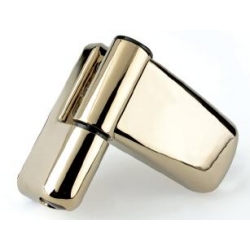 cg ideal Ideal Gold Upvc Door Flag Hinges